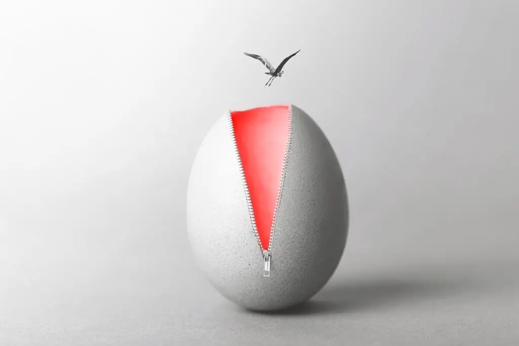 Surreal,Black,And,White,Egg