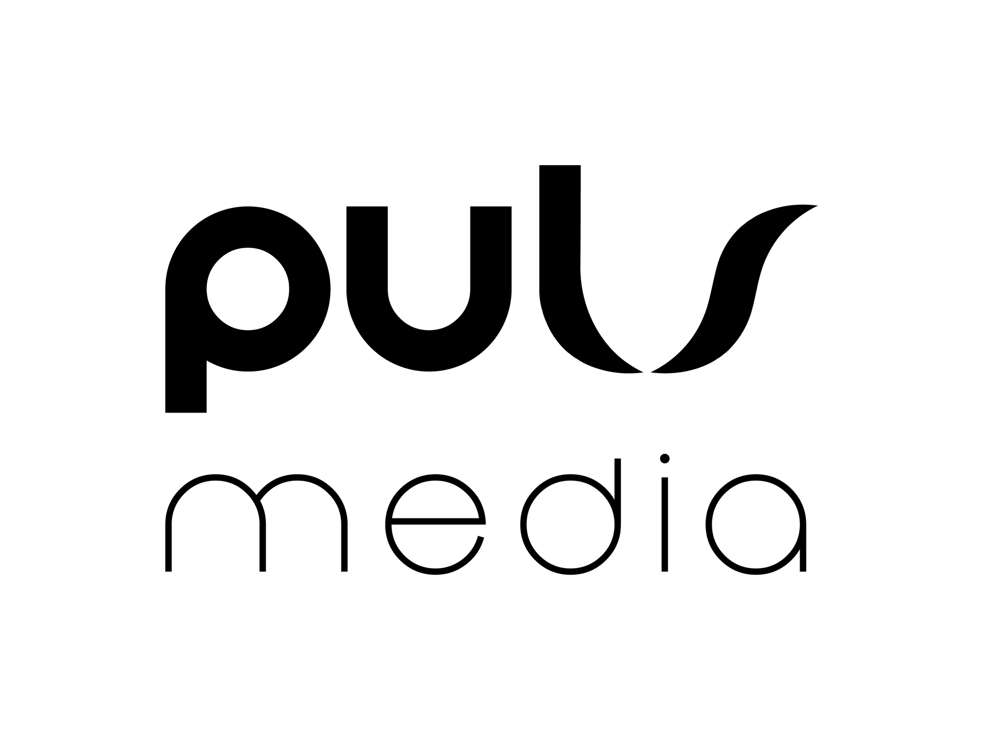 PulsMedia-Group logo